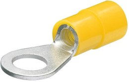Końcówka kablowa oczkowa, niebieska, izolowana, Fi 8 mm, 4,0-6,0 mm2, 97 99 179, KNIPEX